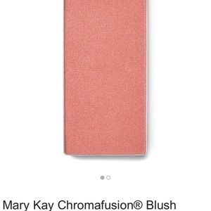 Mary Kay ‘Shy Blush’ (shimmer) Blush
